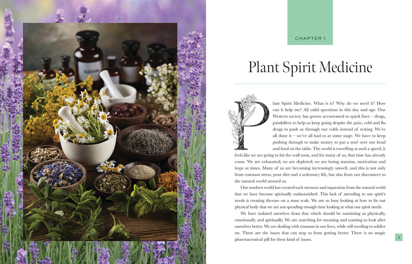 Plant spirit medicine