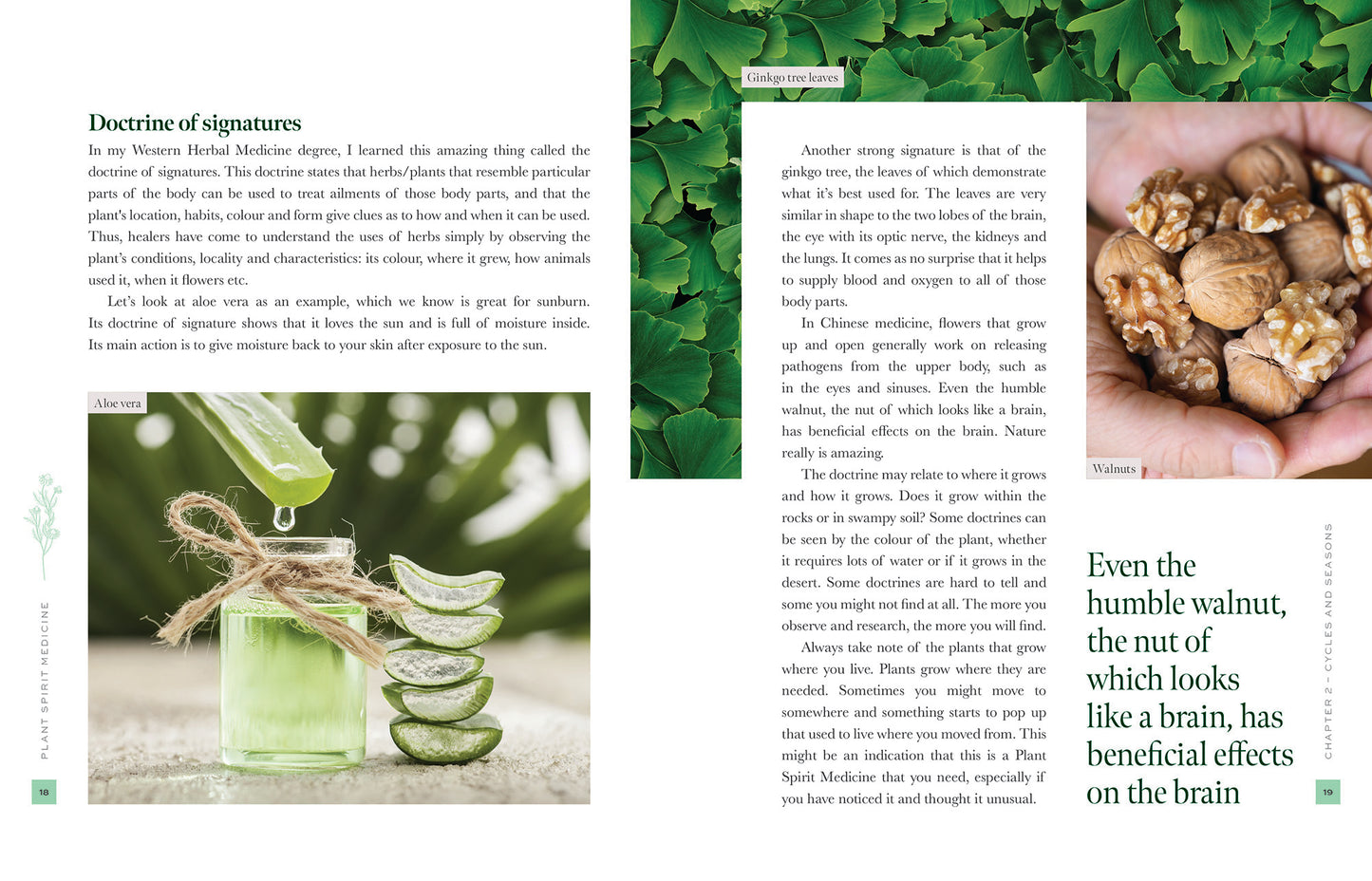 plant spirit medicine