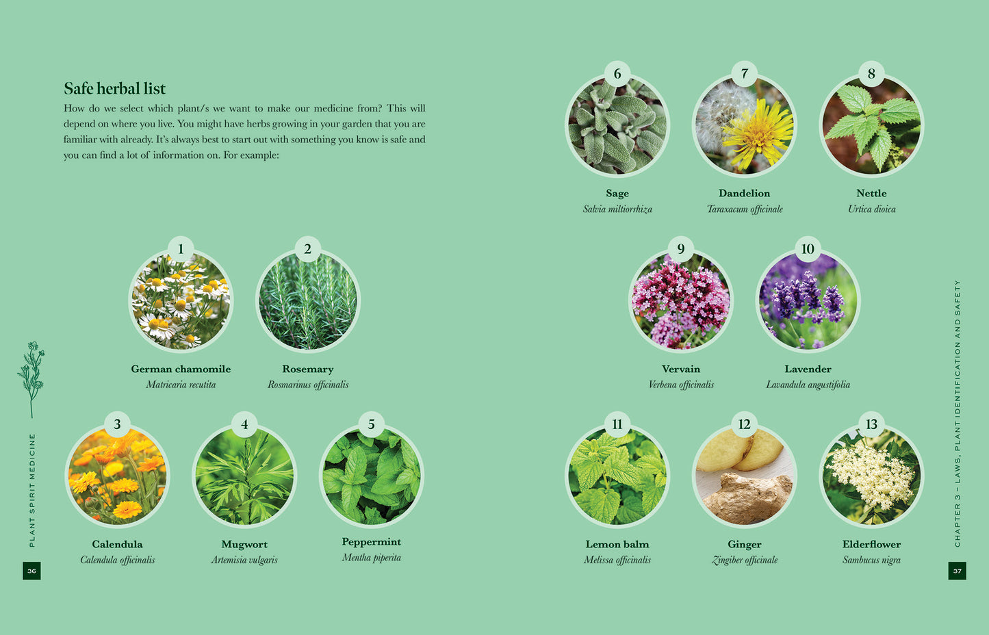 plant spirit medicine