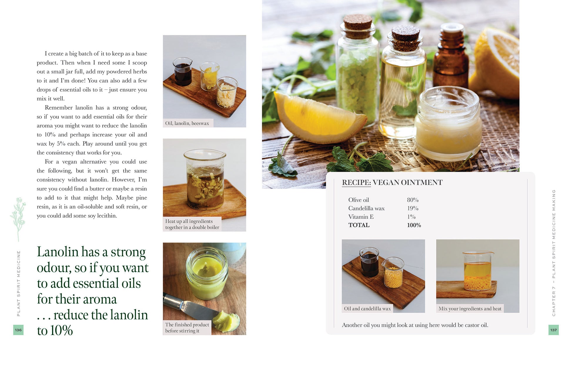 plant spirit medicine
