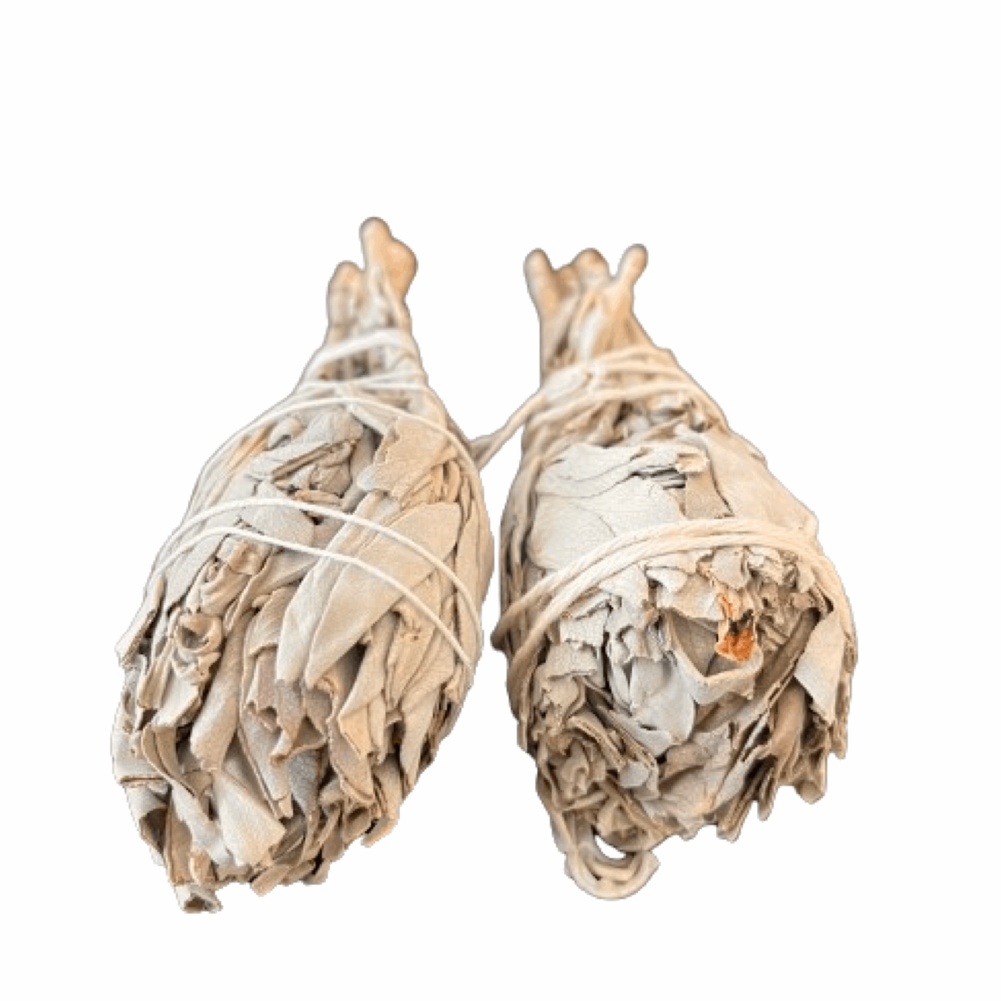 White Sage Smudge Stick - The Crescent Moon