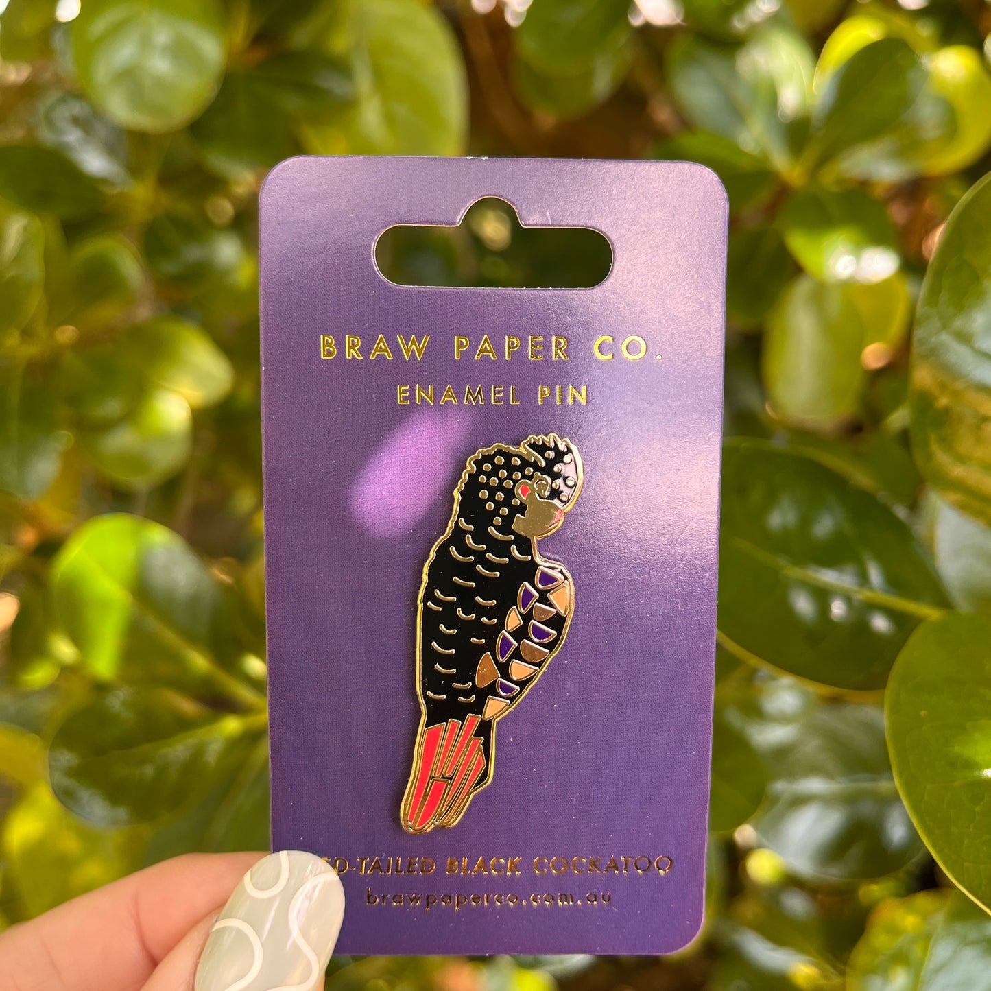 Red Tailed Black Cockatoo Enamel Pin