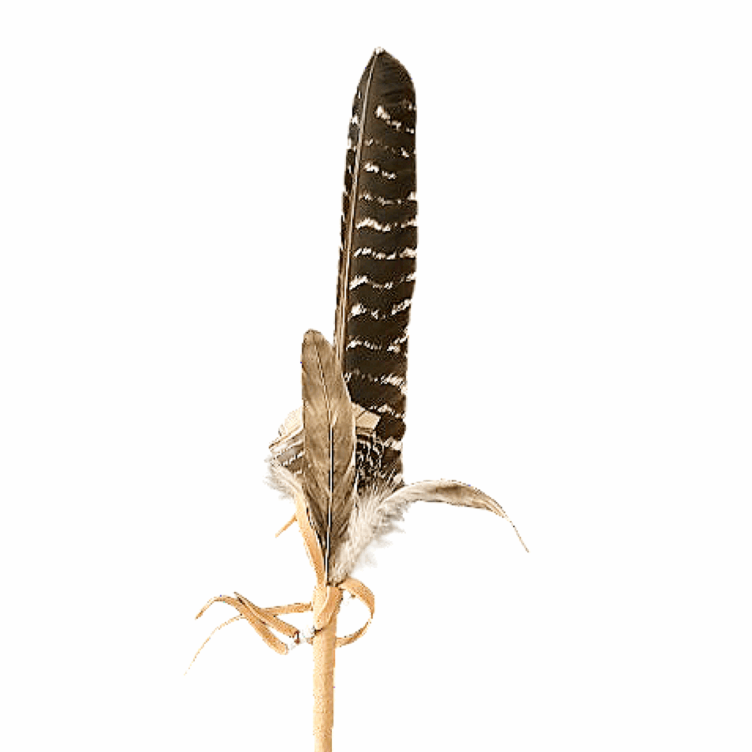 Smudging Feather Wand Single Feather Large - The Crescent Moon