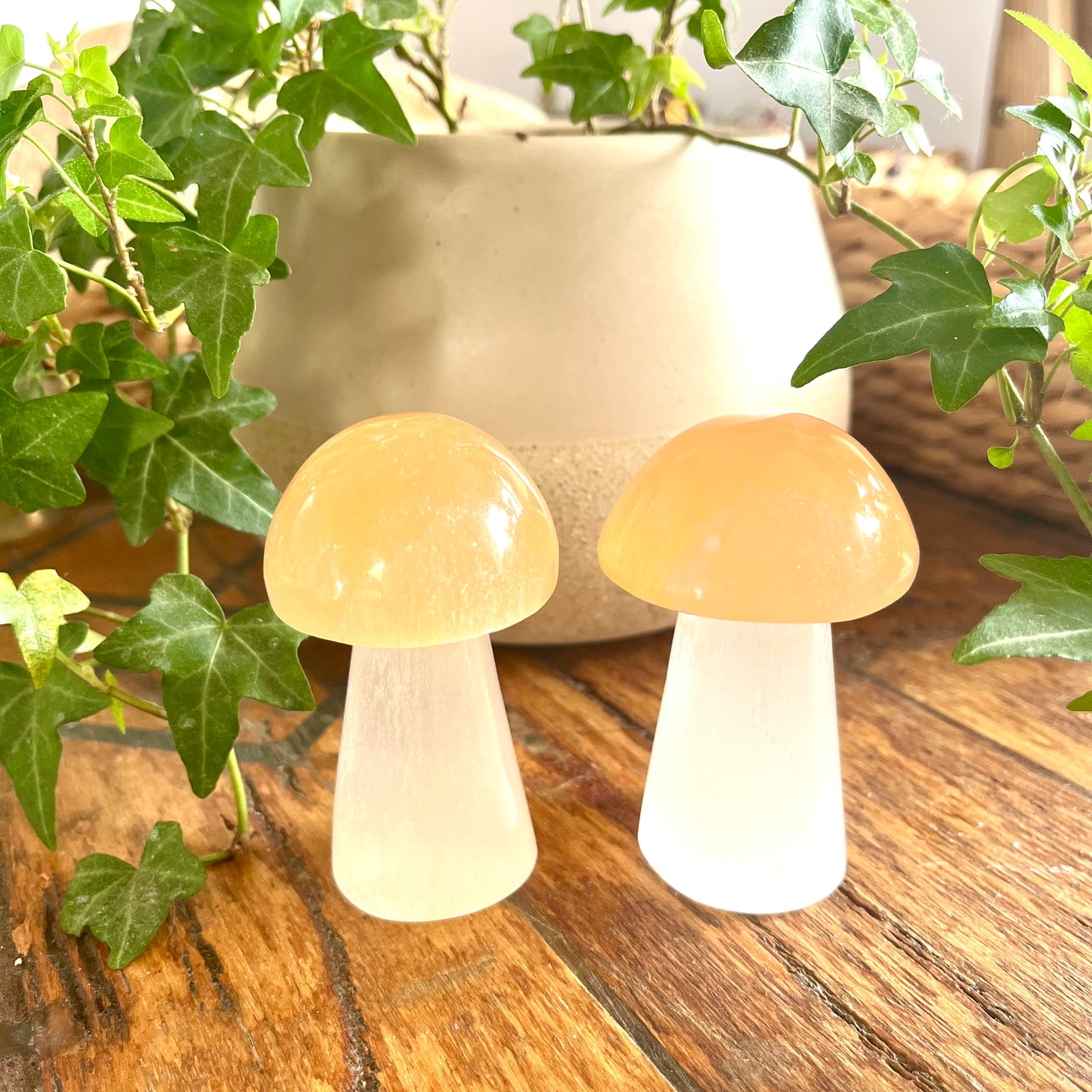 Selenite Crystal Mushroom - The Crescent Moon