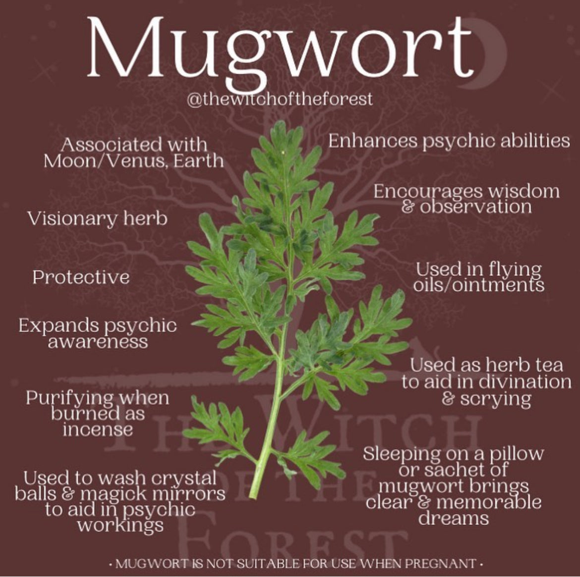 natural magick