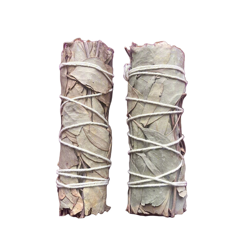 Eucalyptus smudge sticks