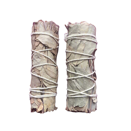 Eucalyptus smudge sticks