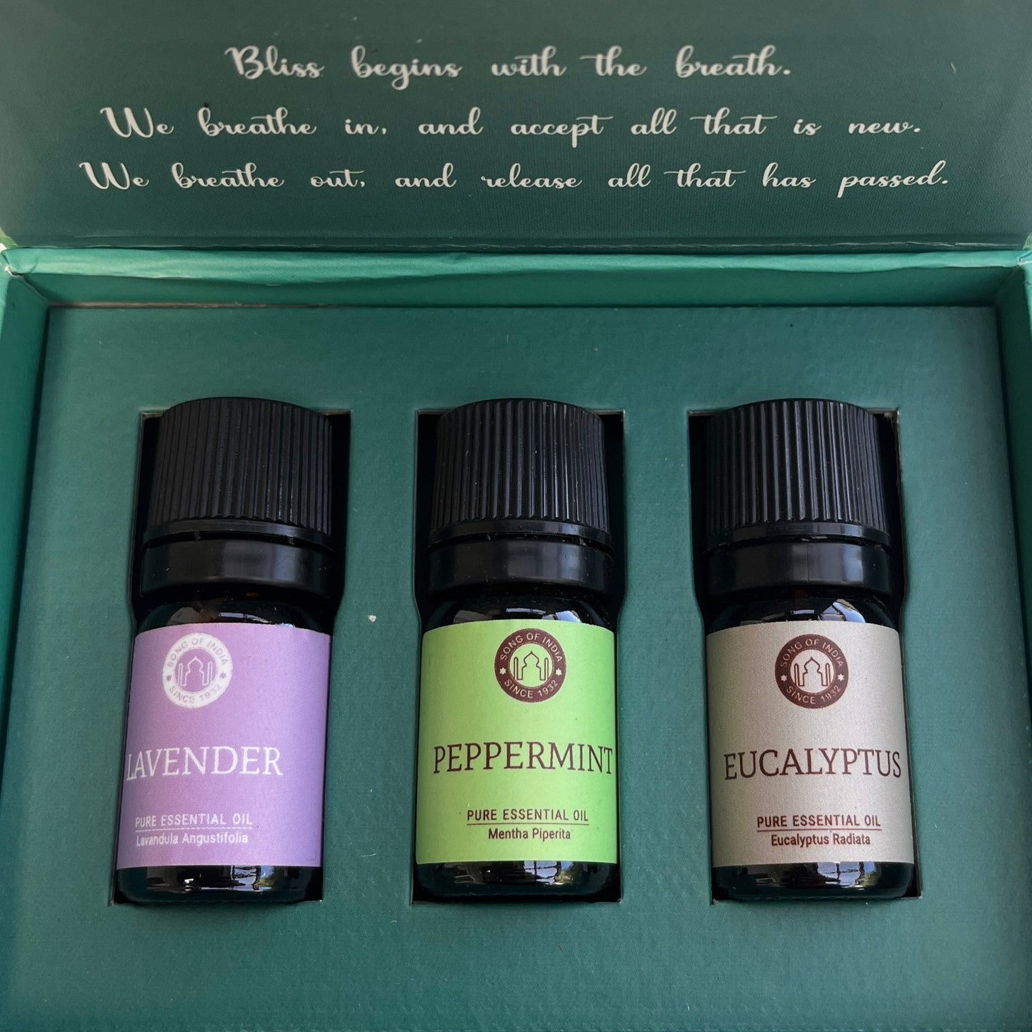 Essential Oil Set - Breathe Aromatherapy - The Crescent Moon