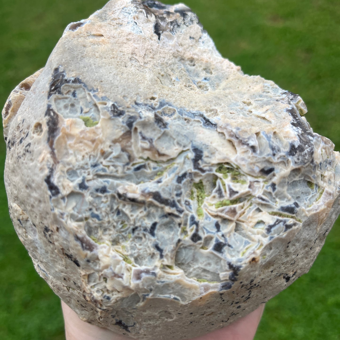 Close-up of a textured stone held by a hand against a green background