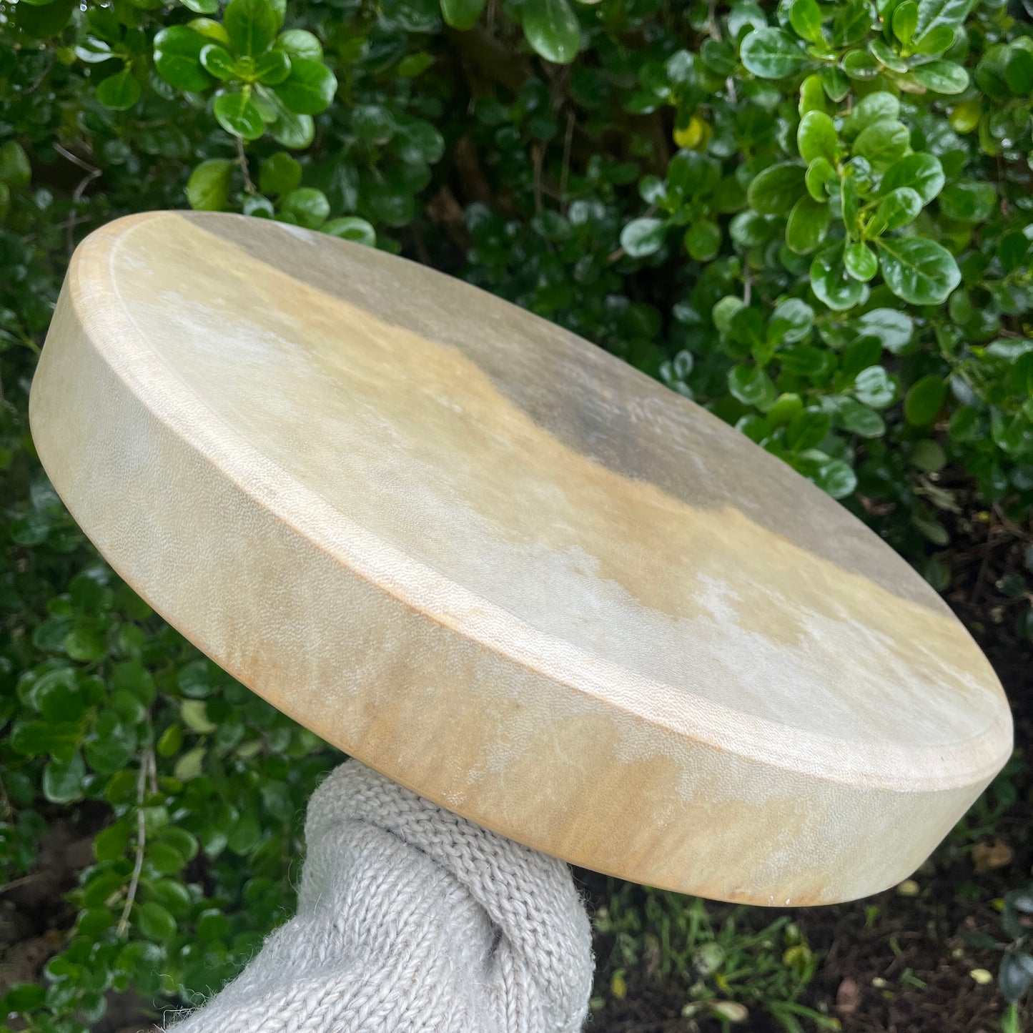 Medicine Drum | Shamanic Drum - Large 20" 50cm