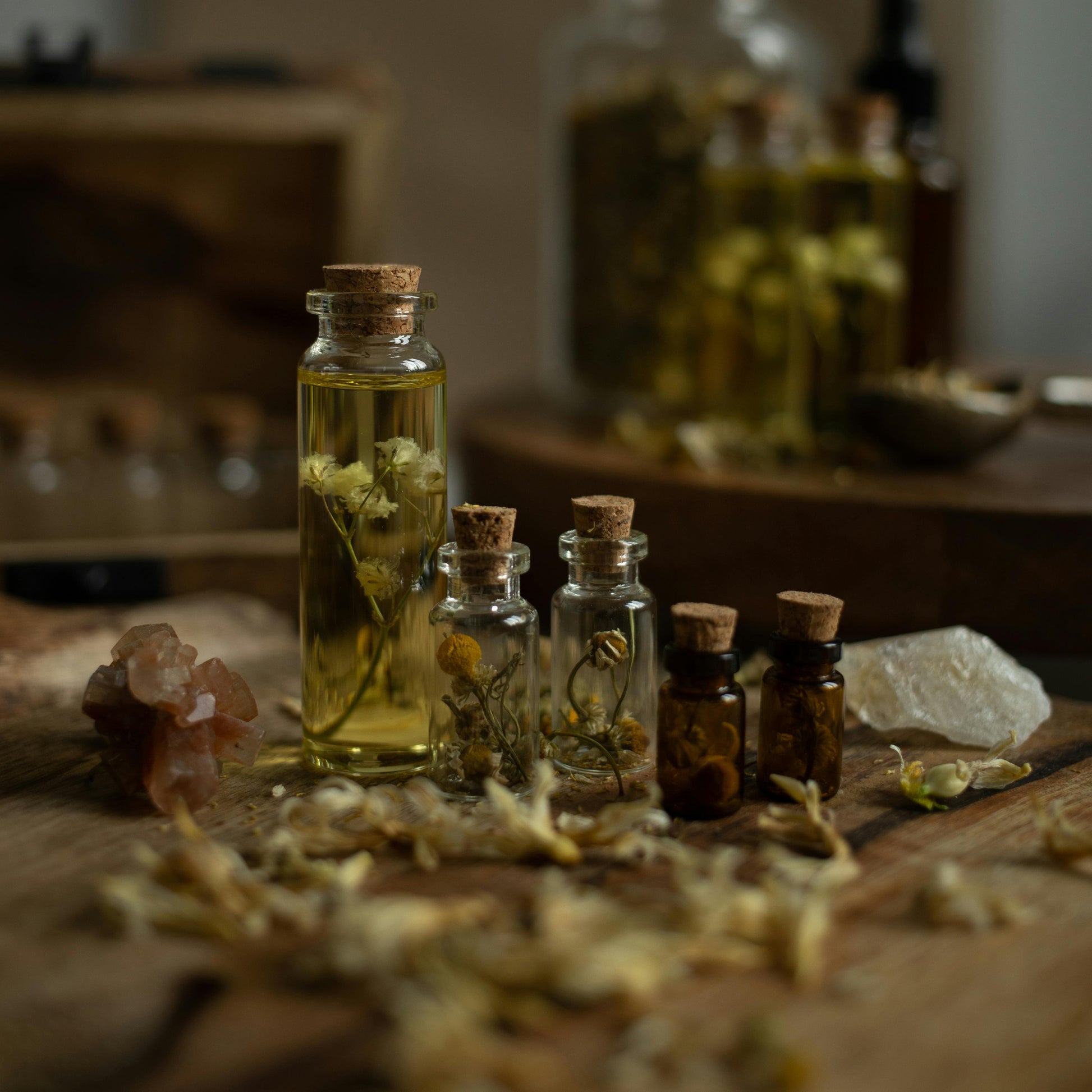 healing herbs