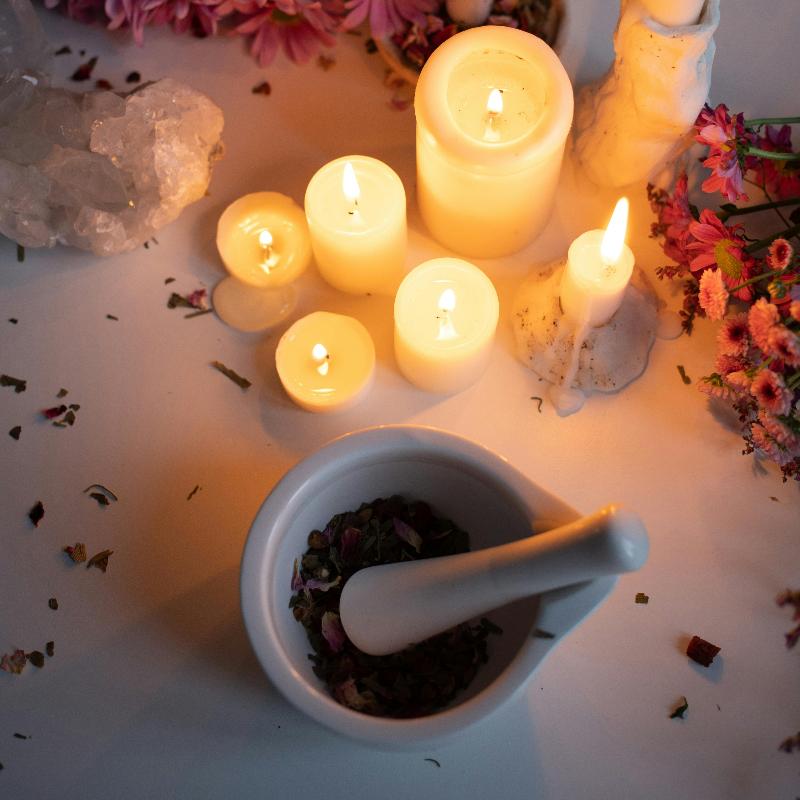 Red clover Sacred Herb - The Crescent Moon