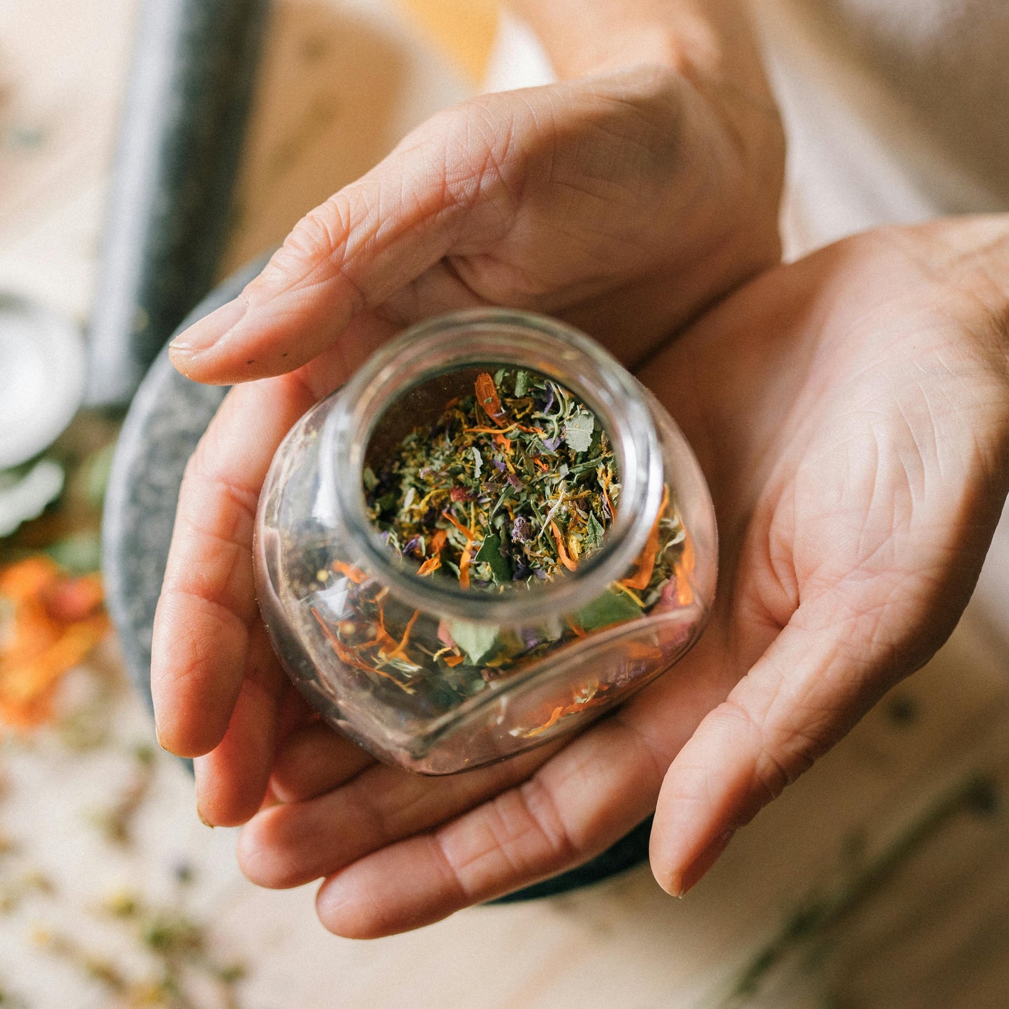 calendula herb