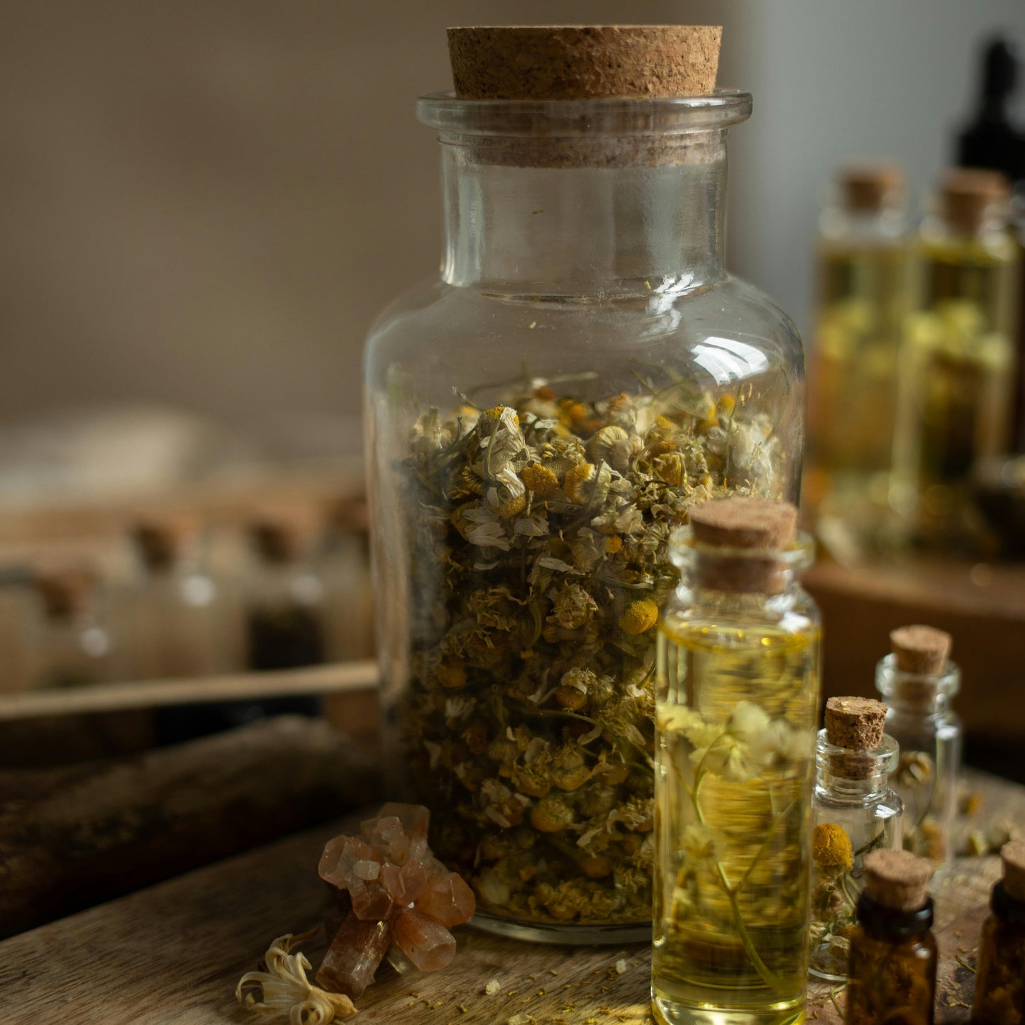 plant spirit medicine