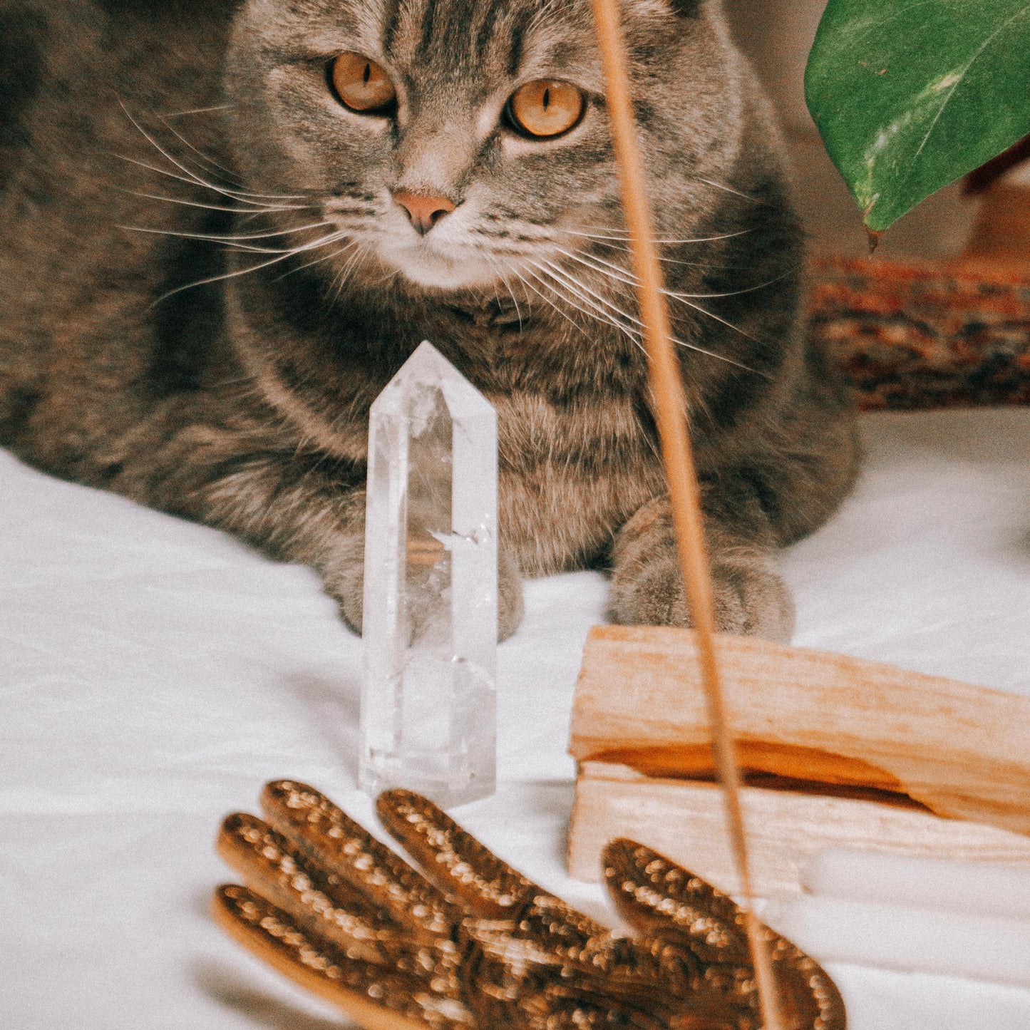 Deepika Meditation Incense - The Crescent Moon