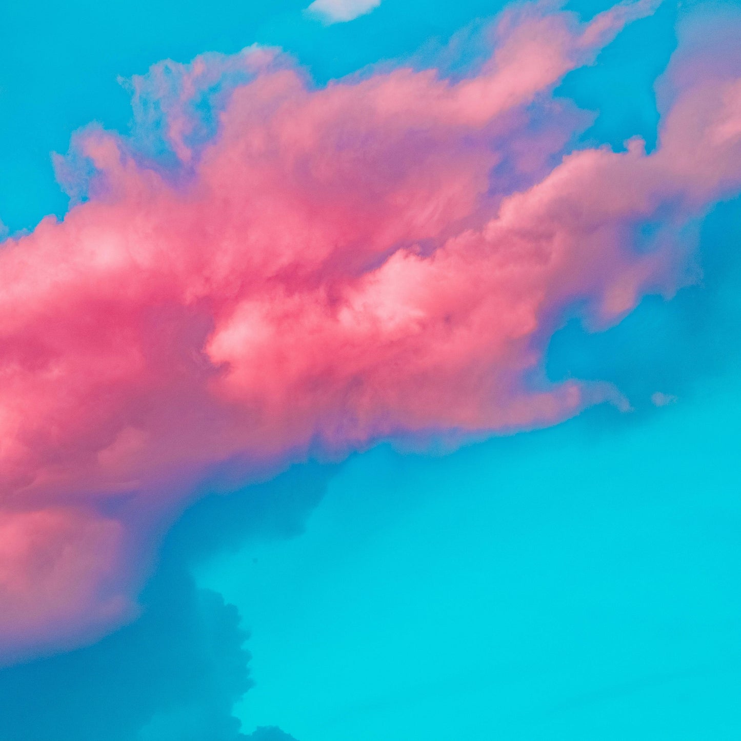 dreams