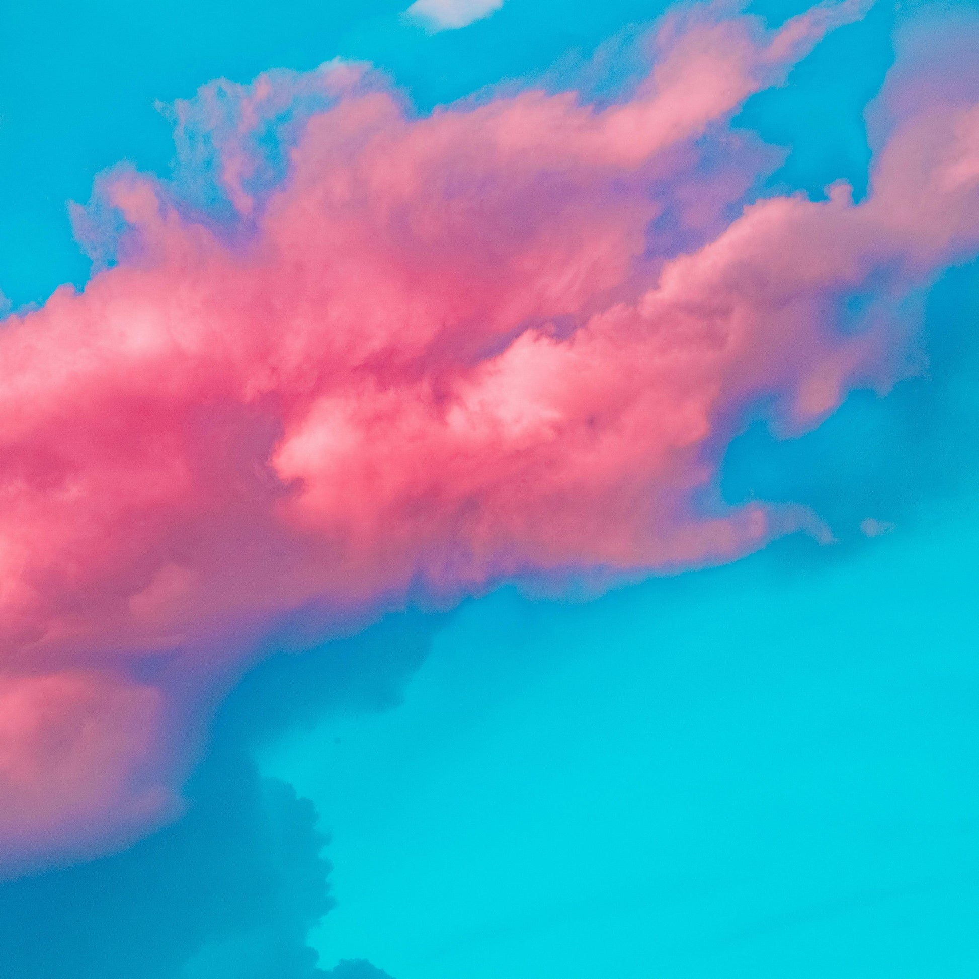 dreams
