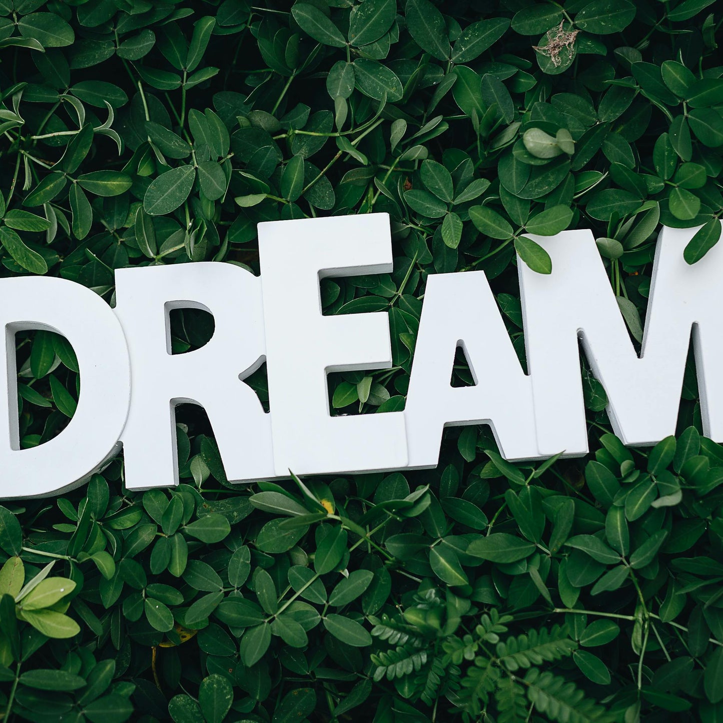 dreams