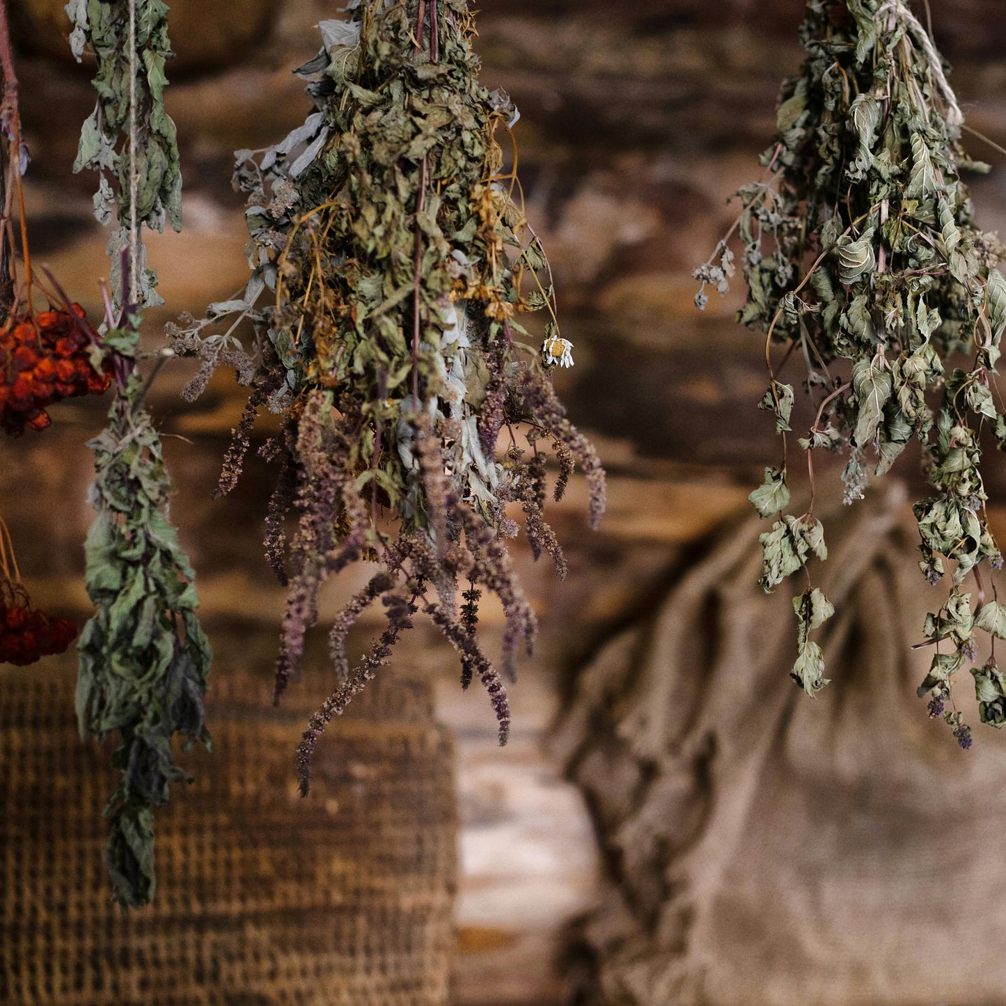 herbs