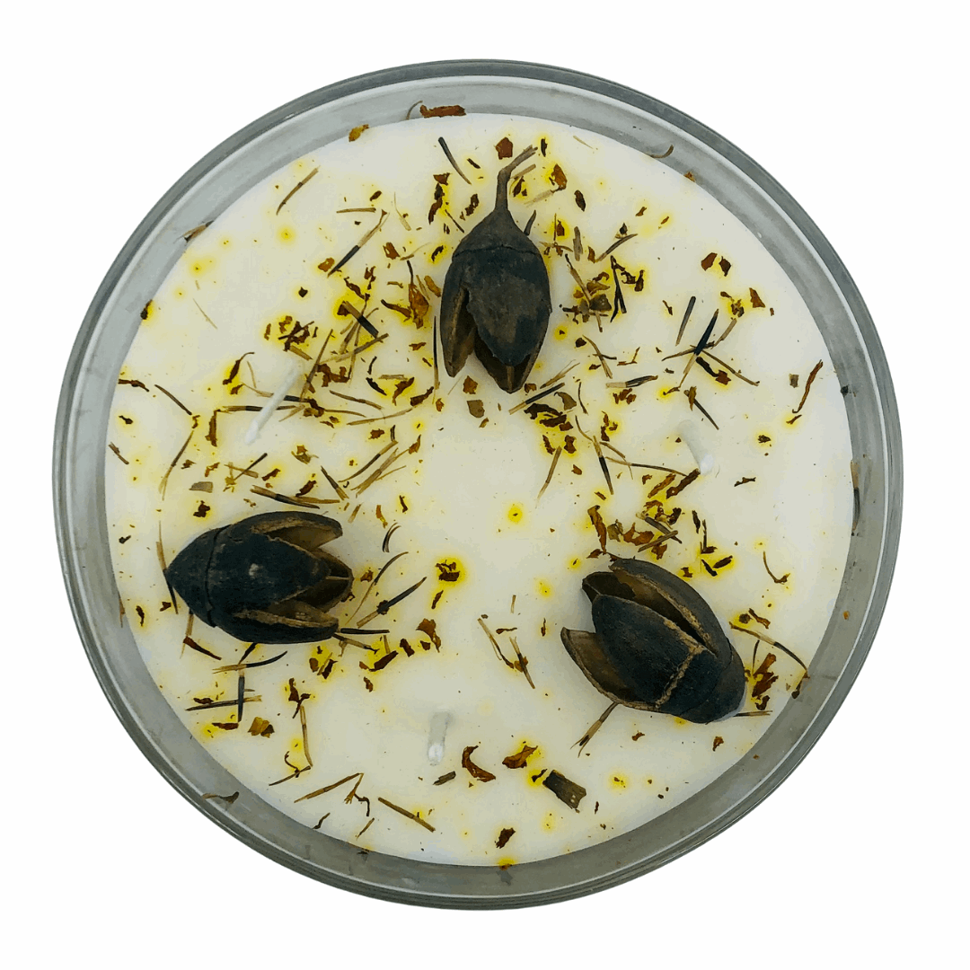 Botanicals Soy Candle - Honey Suckle Jasmine - The Crescent Moon