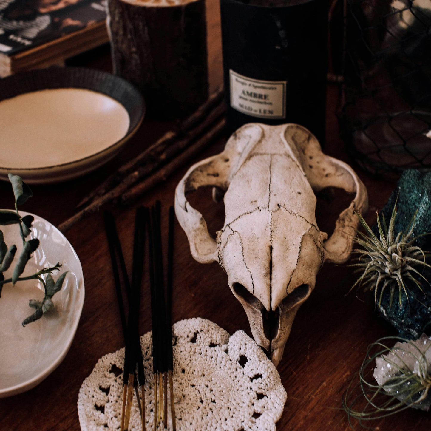 Skull on a wooden surface with plants and candles