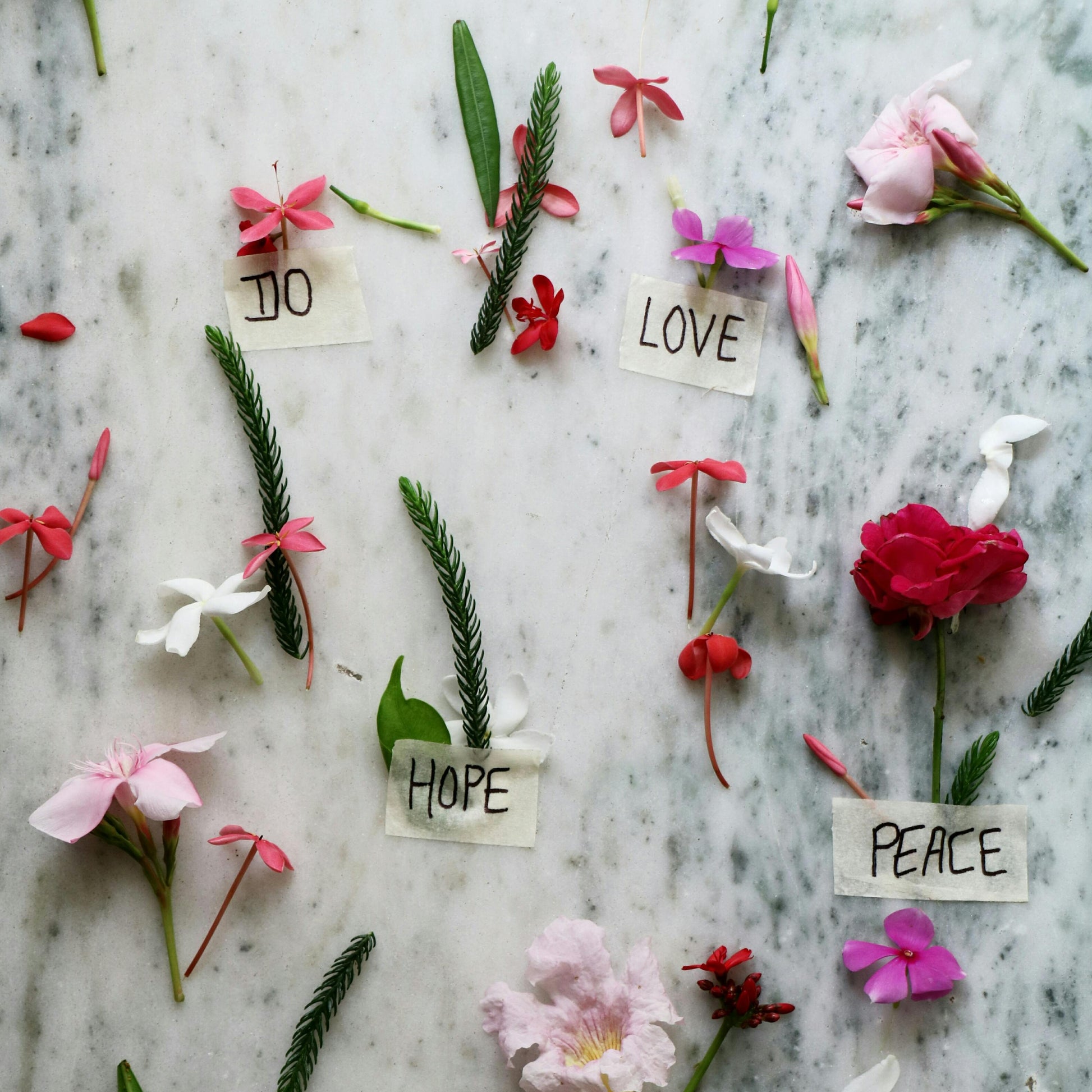 law of positivsm