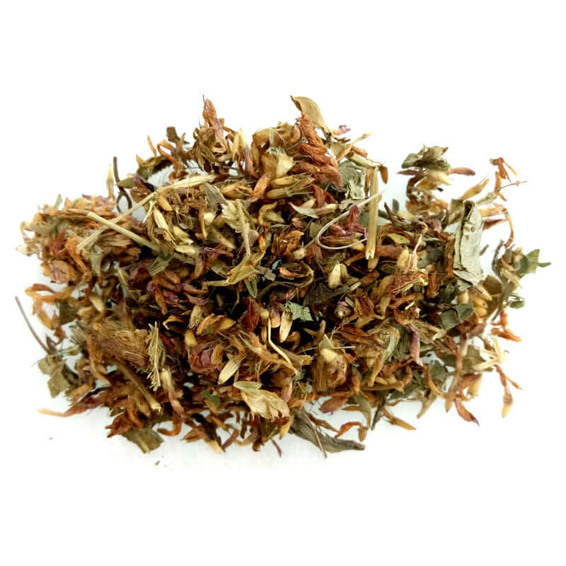 Red clover Sacred Herb - The Crescent Moon