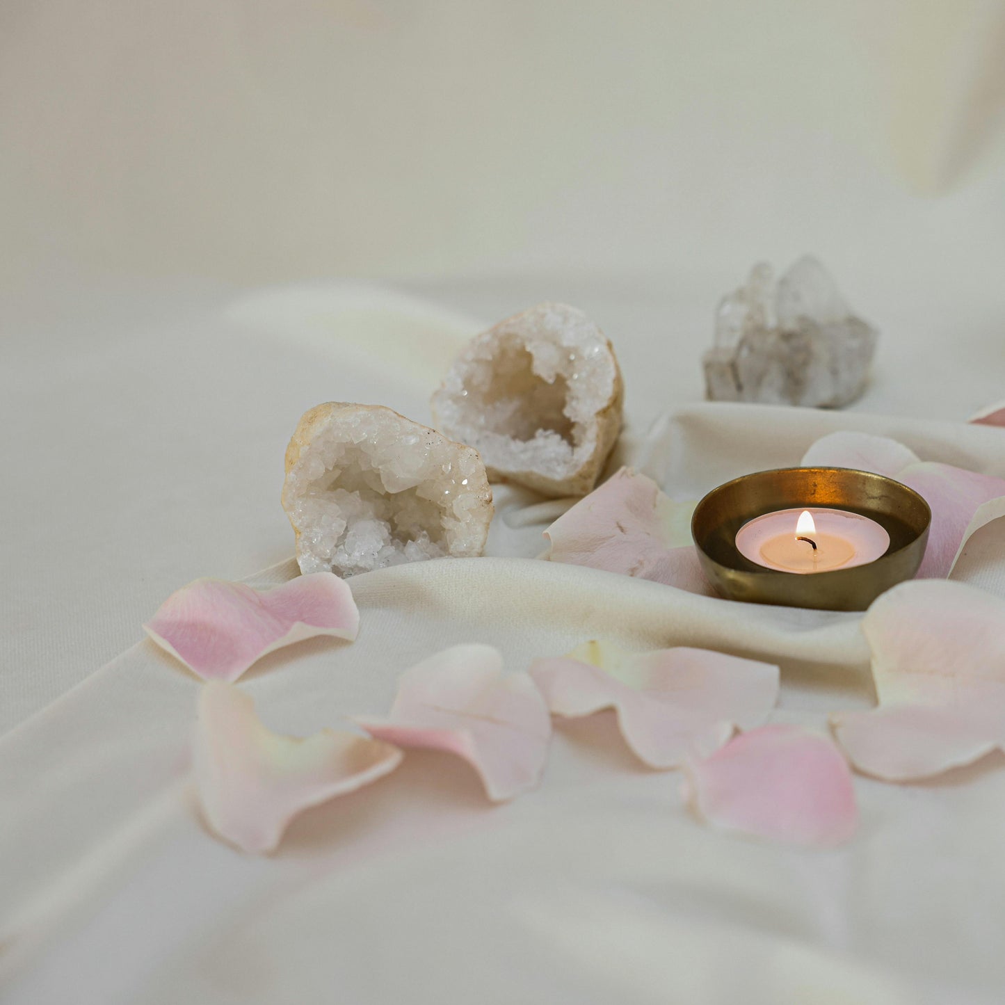 Rose petals for love and healing
