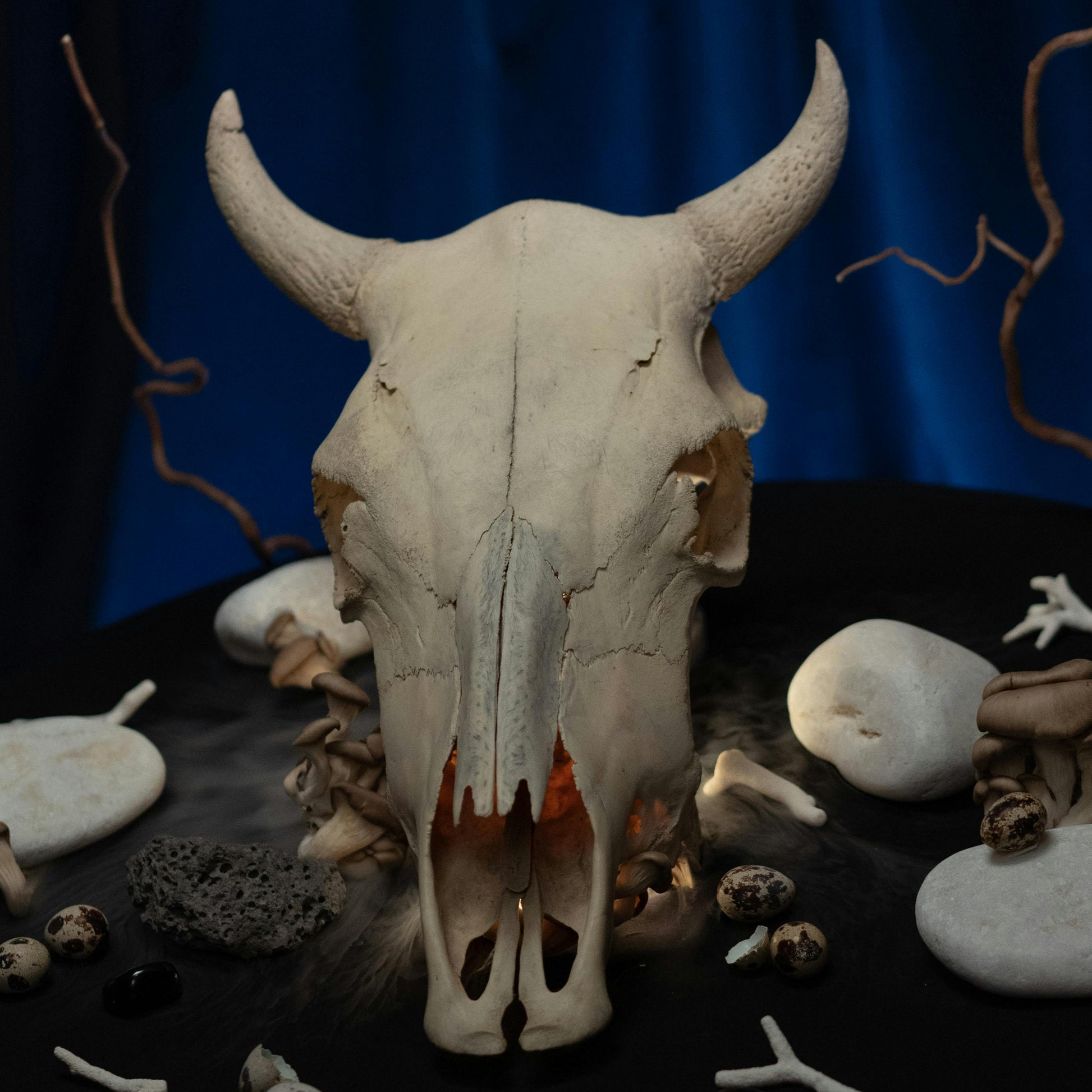 earth offerings