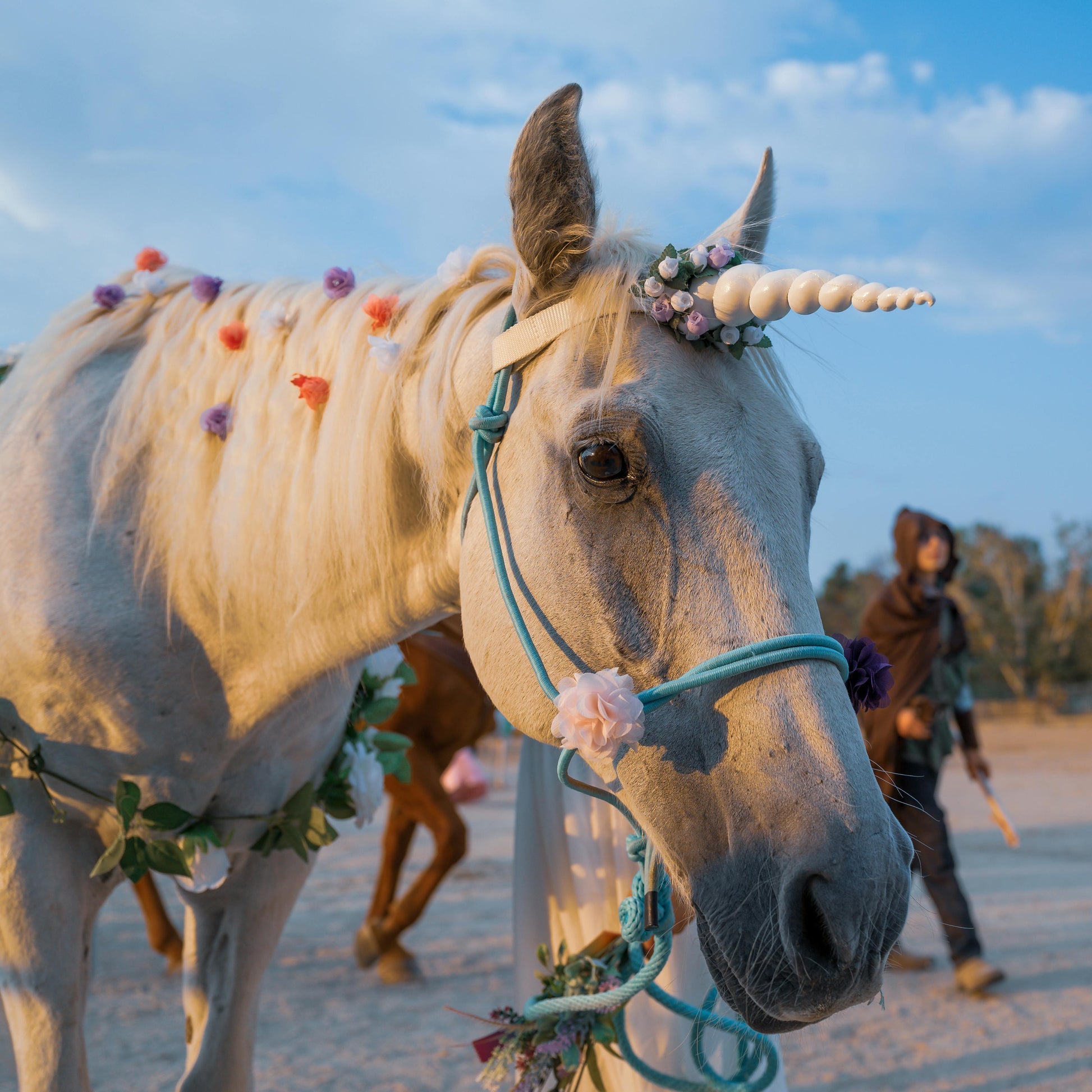 unicorn magick