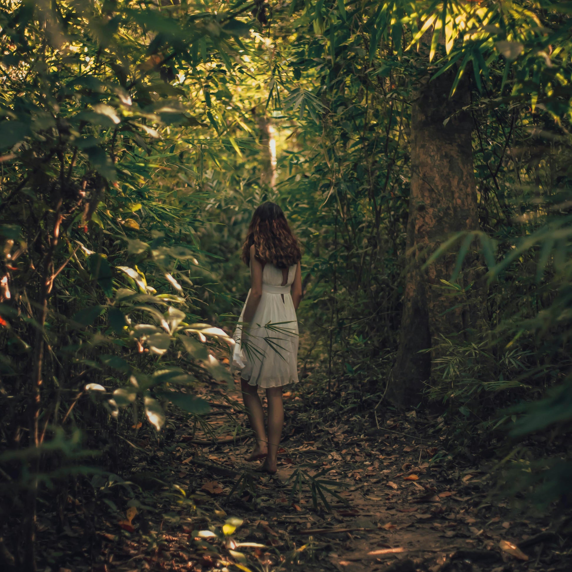 walking meditations