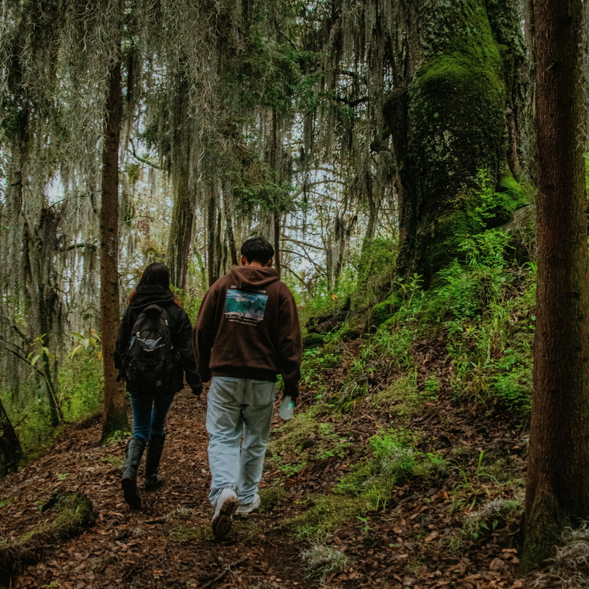 walking meditations