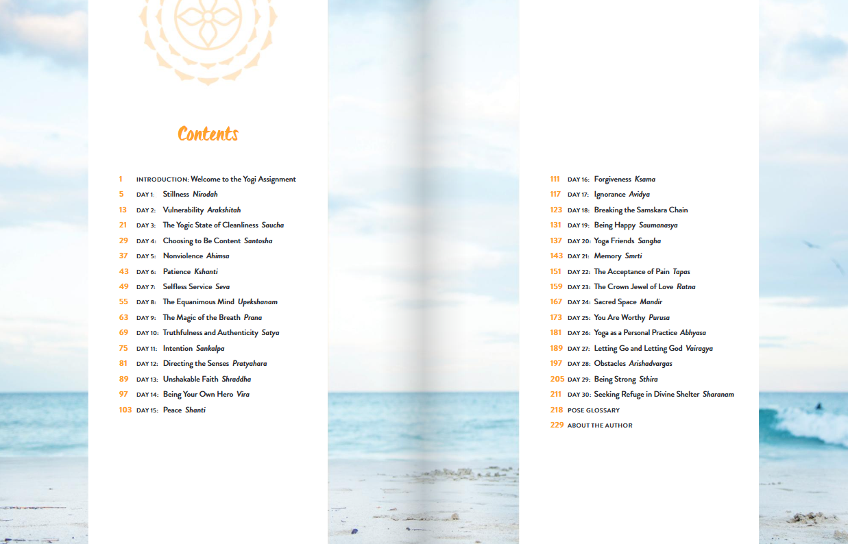 The Yogi assignment Book