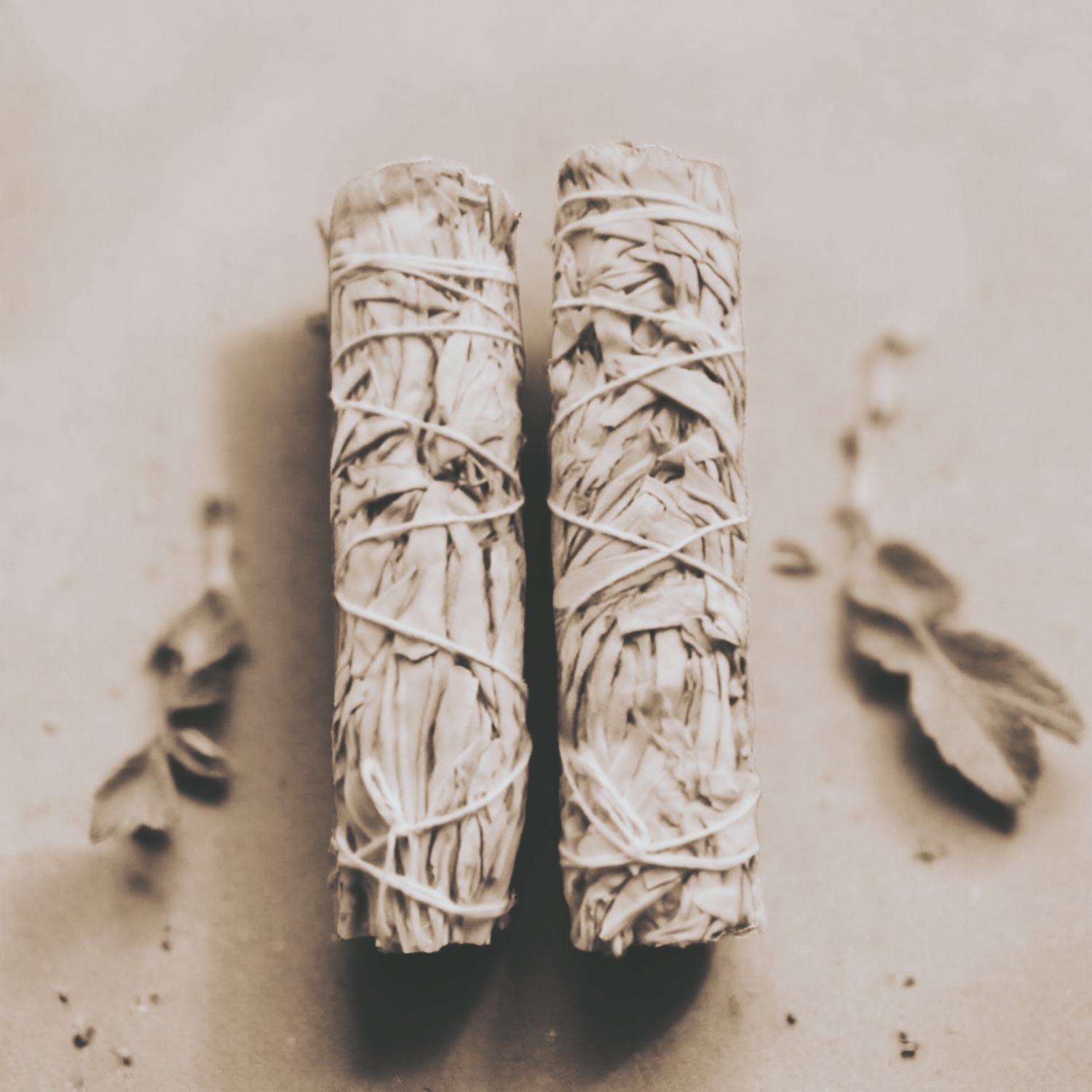 Smudge Sticks - Sage, Dragons Blood, Juniper at The Cresent Moon