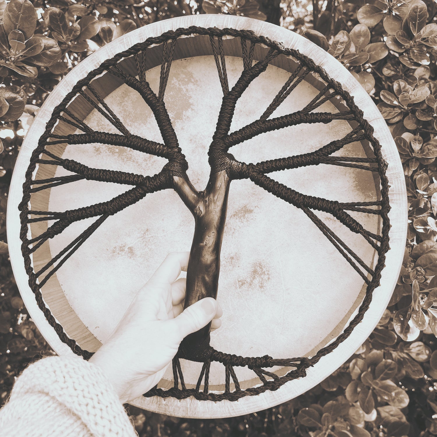 Medicine Drums