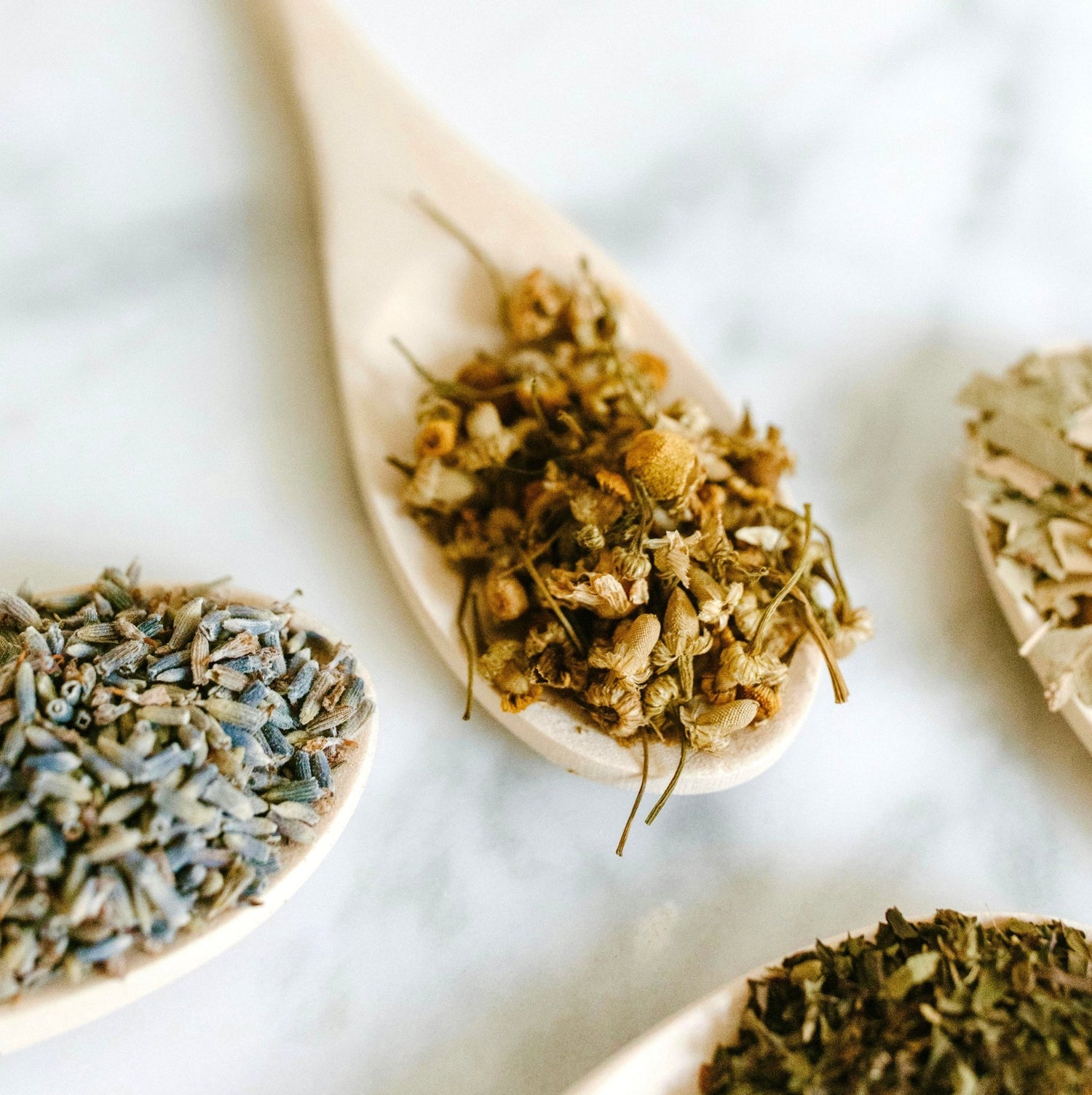 Dried herbs for spells and magick