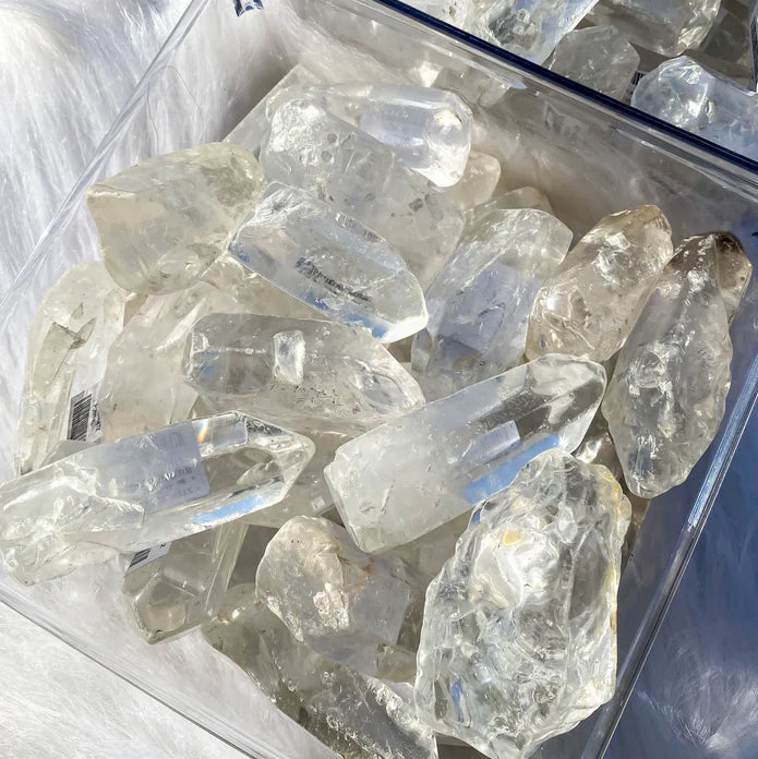 Clear quartz crystal pieces in a clear container on a white background