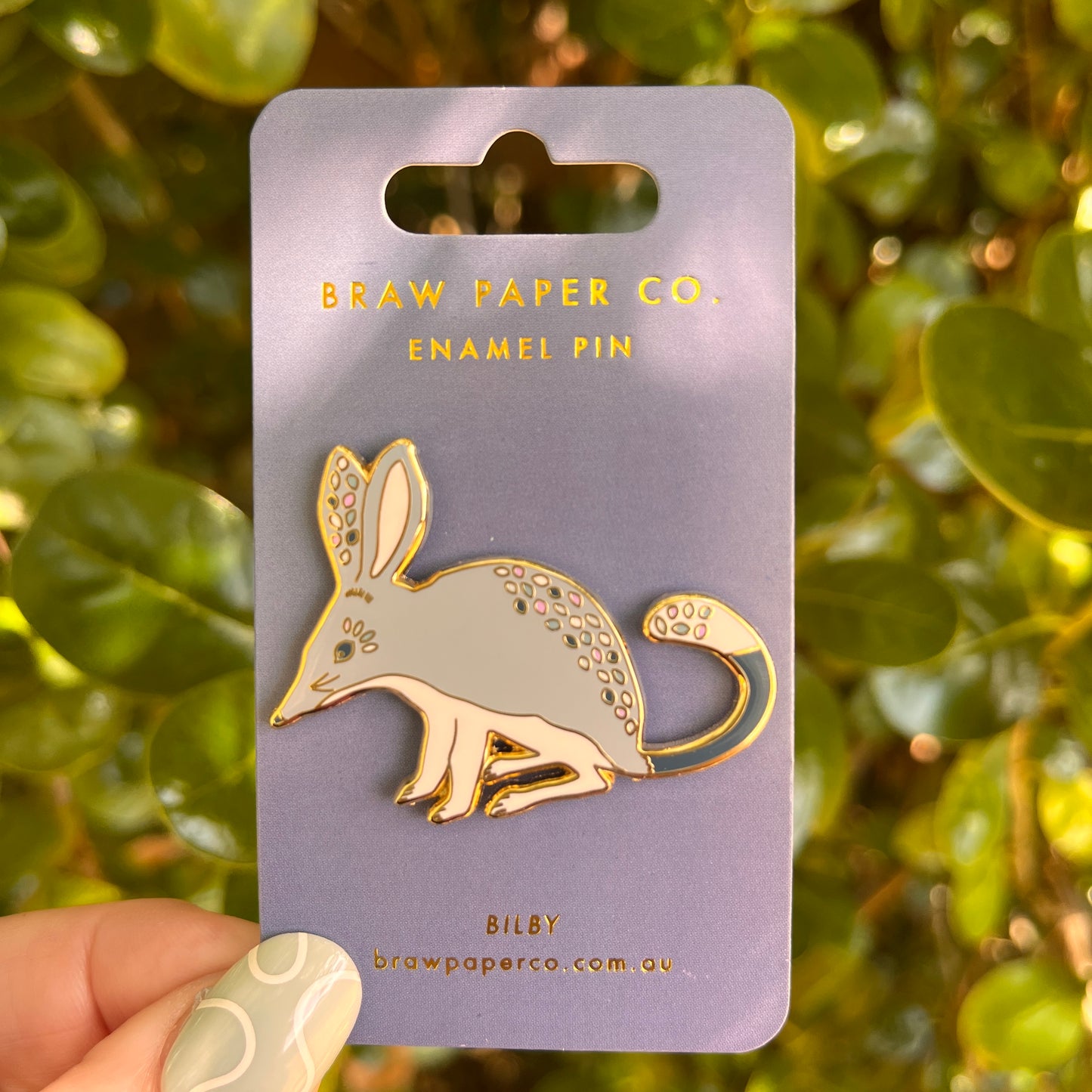 Enamel pin of a bilby on a purple card with 'Braw Paper Co.' branding, held against a green leafy background.