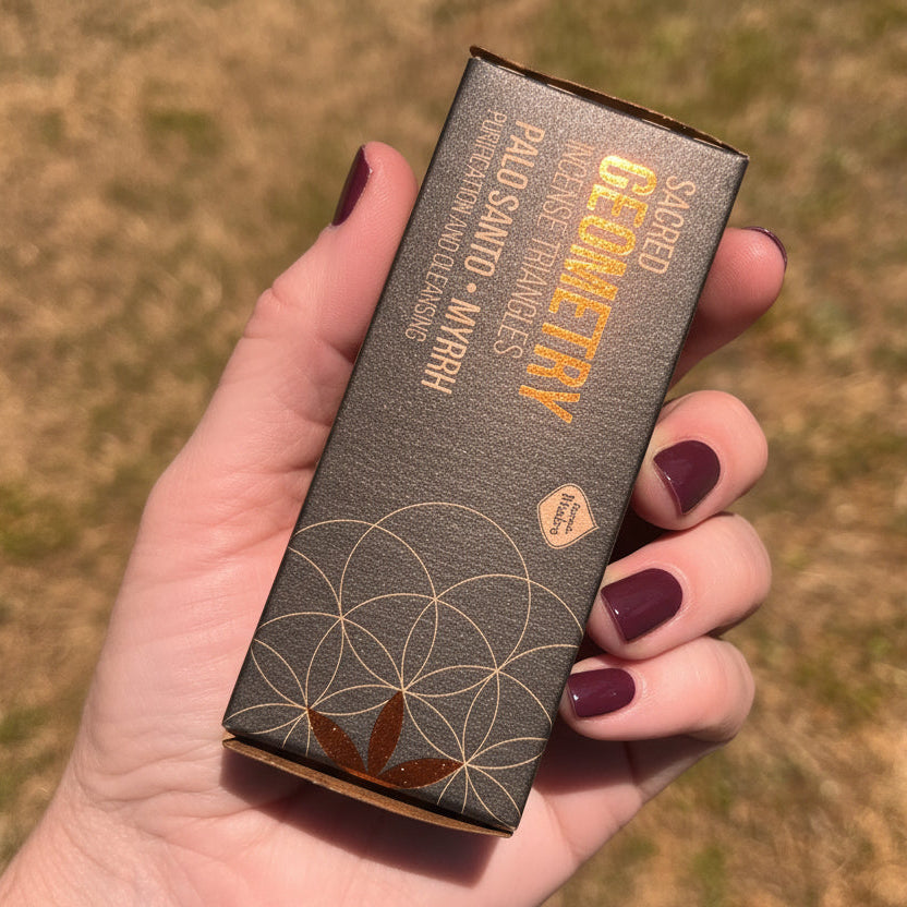 Hand holding a wooden box with 'Geometry' branding against a blurred natural background