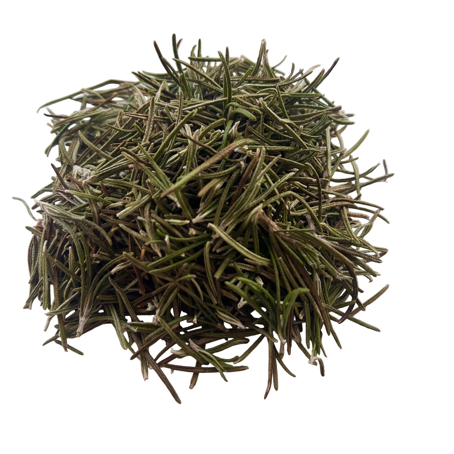 Rosemary Sacred Herb