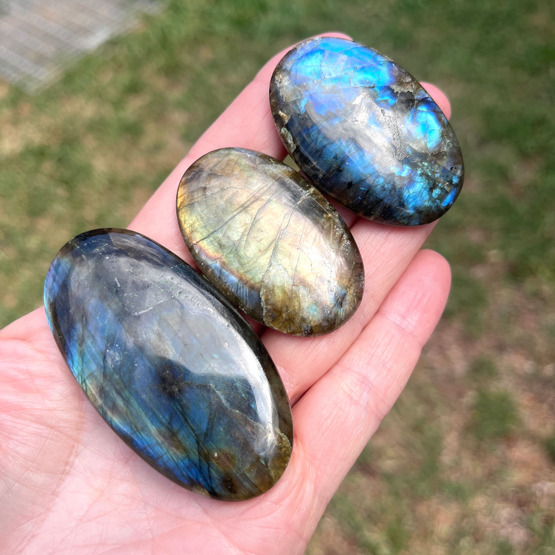 Three labradorite stones held in a hand with a blurred natural background