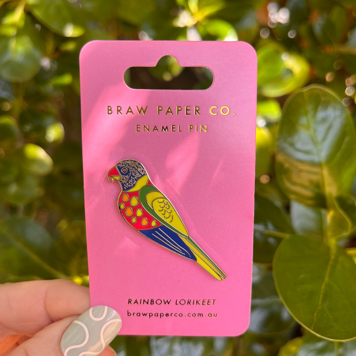Rainbow Lorikeet Enamel Pin