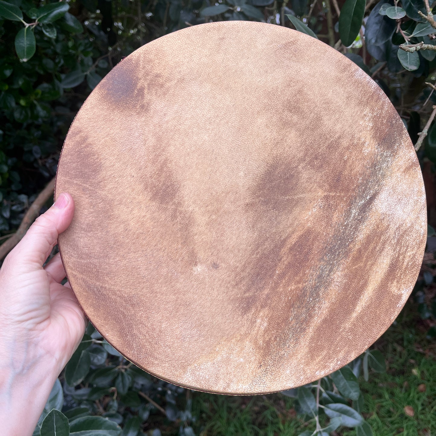 shamanic ocean drum with goat hide