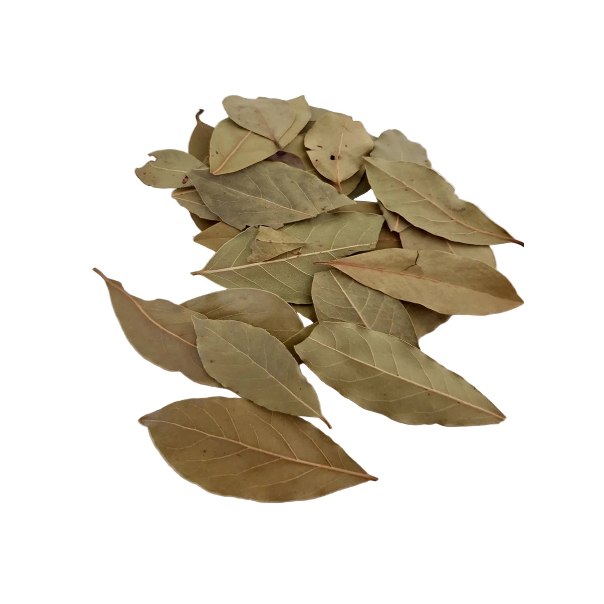 Bay Leaf - Sacred Herb