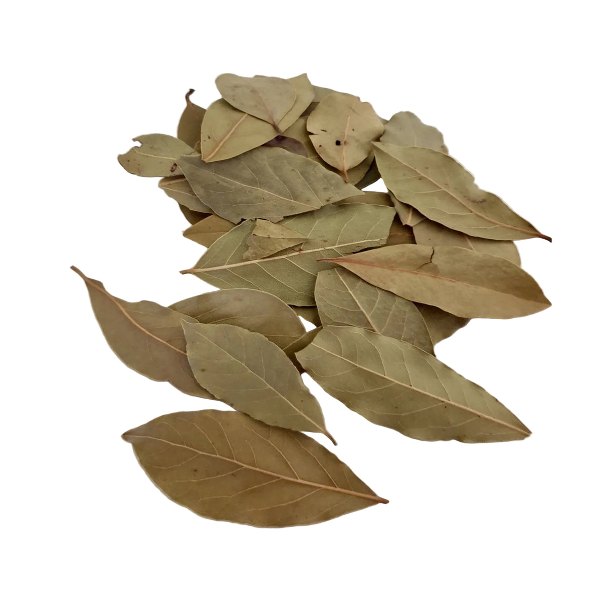 Bay Leaf - Sacred Herb