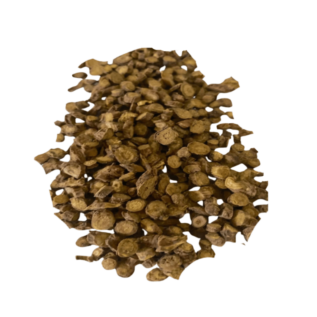 Skullcap Sacred Herb