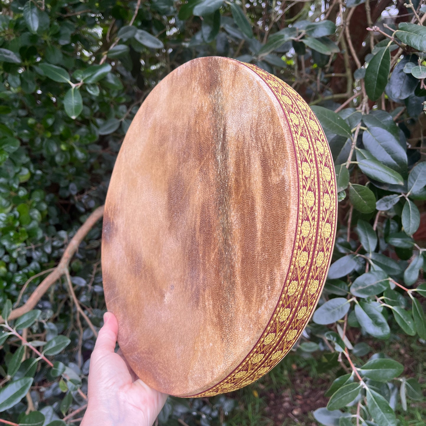 shamanic ocean drum with goat hide
