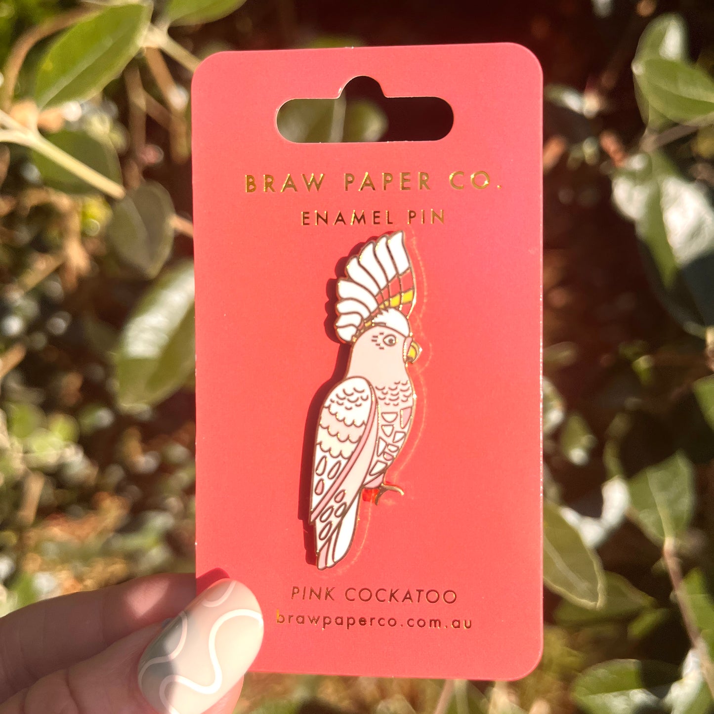 Pink card with a parrot design and 'Braw Paper Co.' text, held against a natural background.