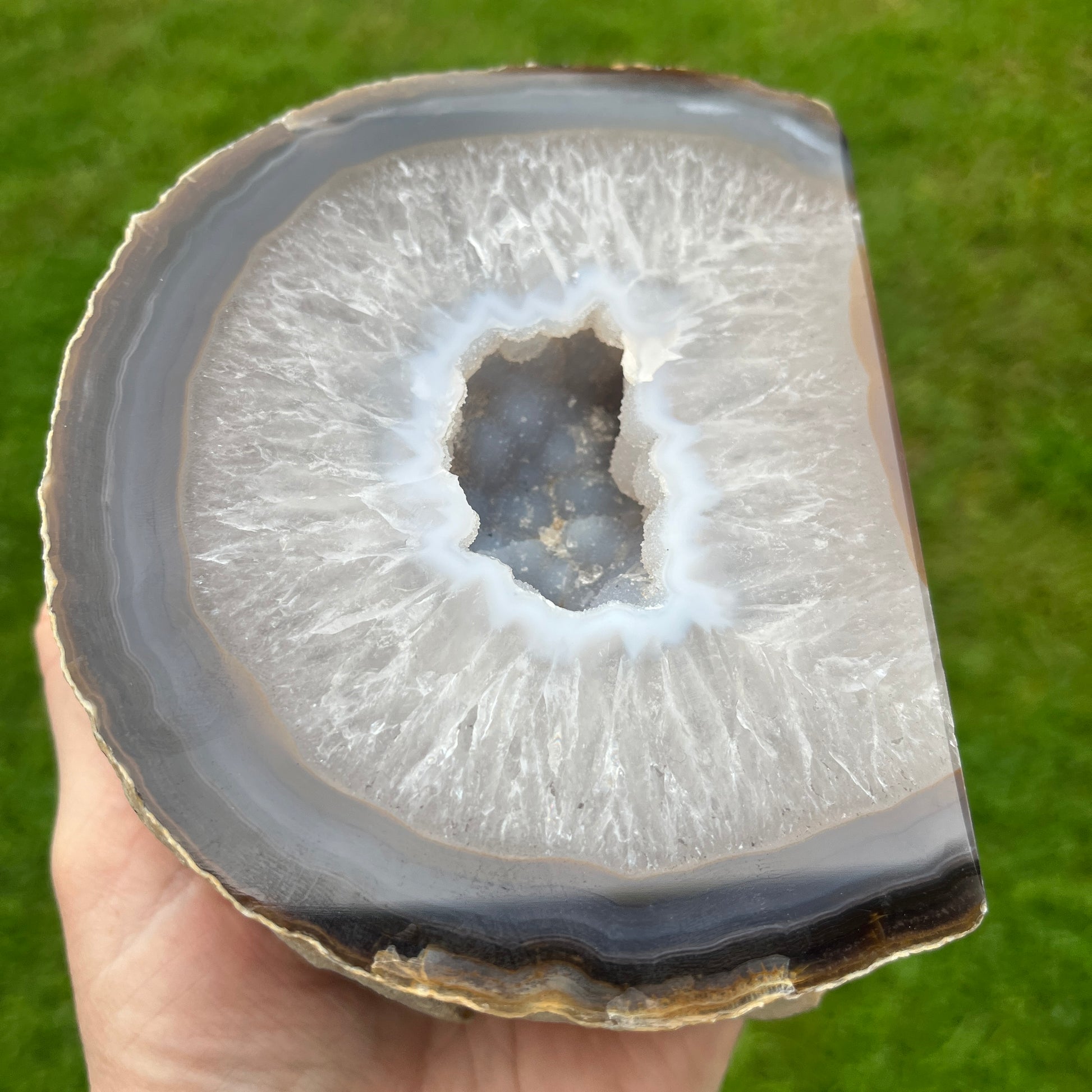 Geode slice held in a hand with a green grass background