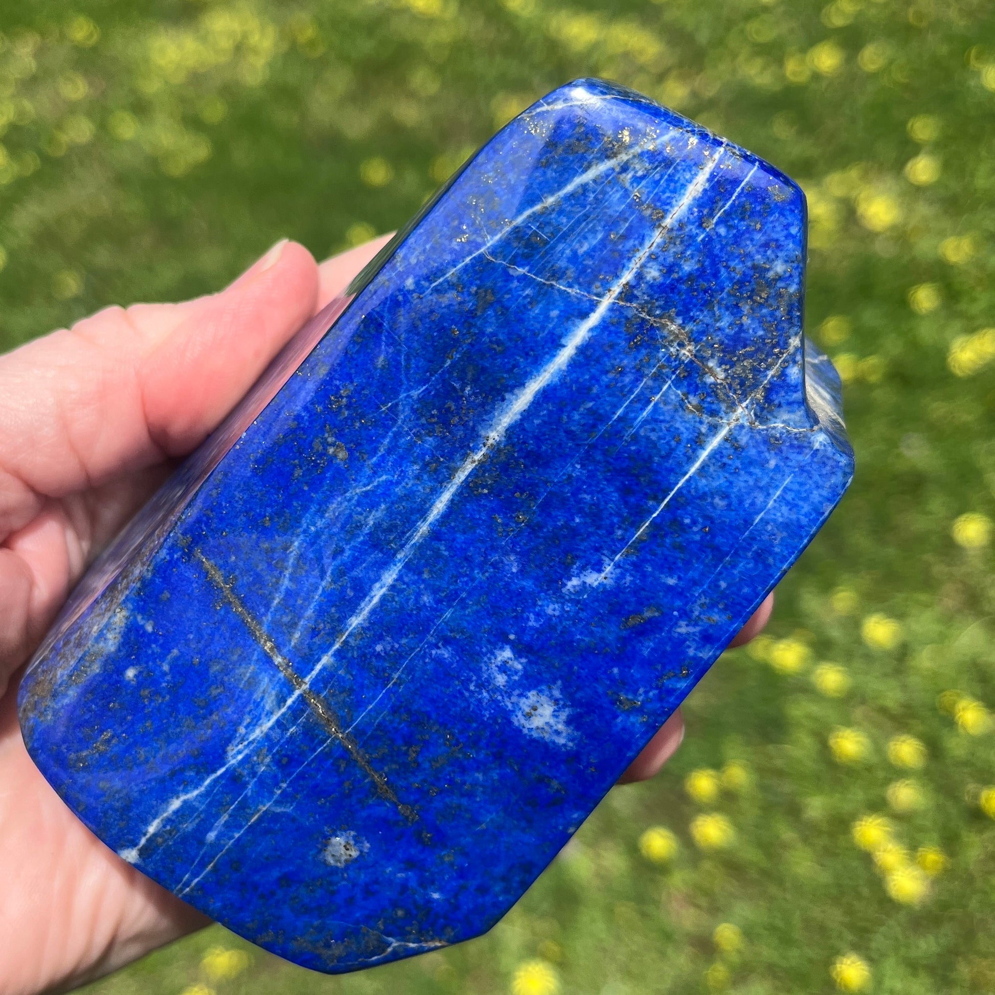 Hand holding a blue lapis lazuli chunk with a blurred green background
